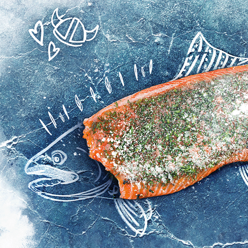 Graved-Lachs-Wikinger