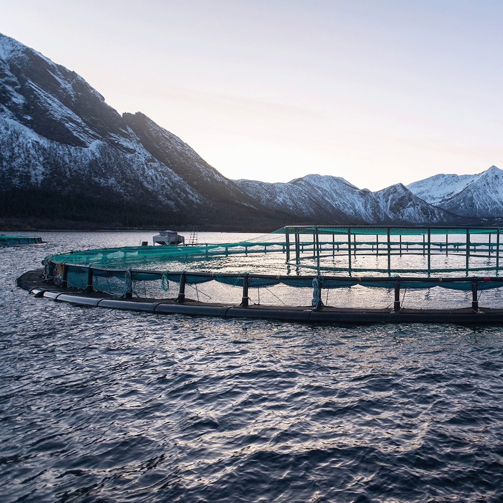 Meine-Lieblinge-Bio-Marikultur